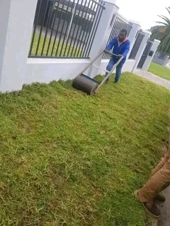 Roll on lawn Kikuyu grass and buffalo grass