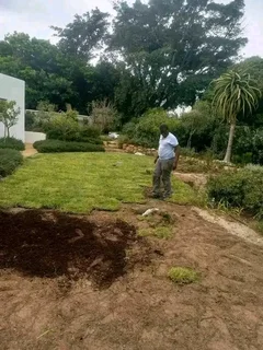 Roll on lawn Kikuyu grass and buffalo grass