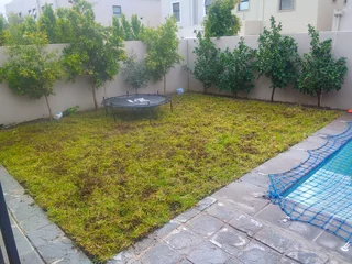 Roll on lawn Kikuyu grass and buffalo grass