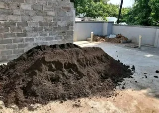 Roll on lawn Kikuyu grass and buffalo grass