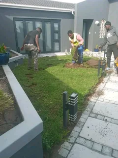 Roll on lawn Kikuyu grass and buffalo grass