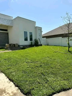 Delivery and installa buffalo grass and Kikuyu grass