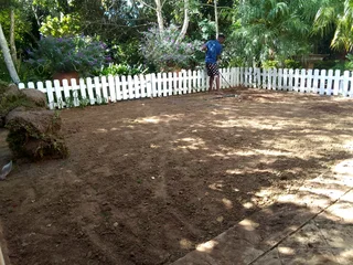 Delivery and installa buffalo grass and Kikuyu grass