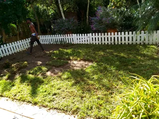 Delivery and installa buffalo grass and Kikuyu grass