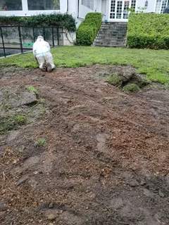 PROFESSIONALS WITH IMMENSE EXPERIENCE IN INSTALLATION &amp; LAYING NATIONAL GRASS