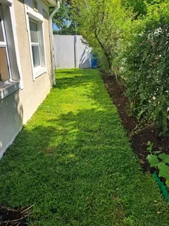 Roll on lawn Lm Berea grass