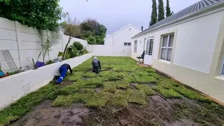 We do supply and installa. Buffalo grass and Kikuyu grass