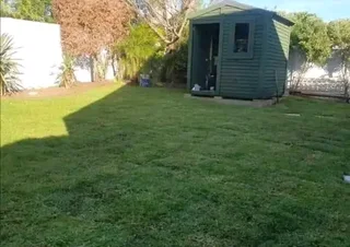 We do supply and installa. Buffalo grass and Kikuyu grass