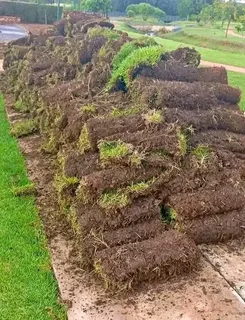 Delivery and installa call type of national grass