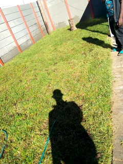 Delivery and installa call type of national grass