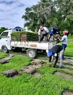 Delivery and installa call type of national grass