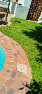 Green and fresh grass