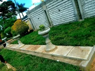 Supply and installa buffalo grass