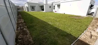 Delivery and installa buffalo grass and Kikuyu grass