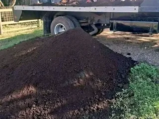 Delivery and installa buffalo grass and Kikuyu grass