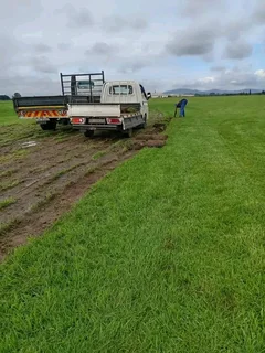 Delivery and installa buffalo grass and Kikuyu grass