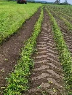 Delivery and installa buffalo