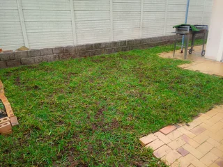 Roll on lawn Cynadone grass