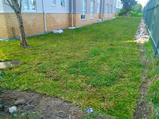 Roll on lawn Cynadone grass