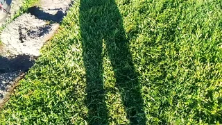 We do supply and installa  buffalo grass