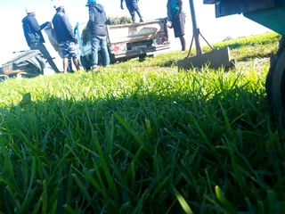 We do supply and installa  buffalo grass