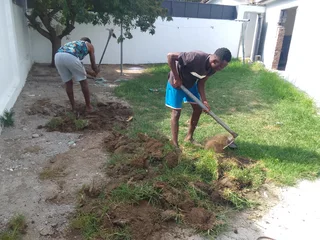 We do supply and installa  buffalo grass