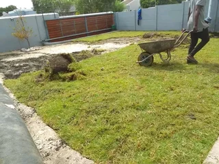 Roll on lawn Kikuyu grass