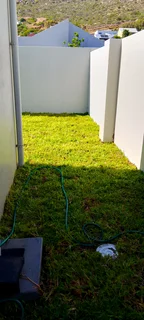 Roll on lawn Kikuyu grass