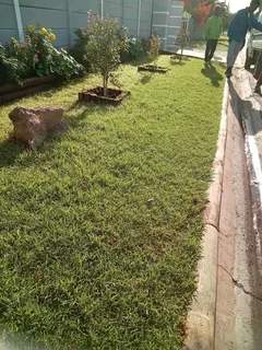 Delivery and installa call type of national grass