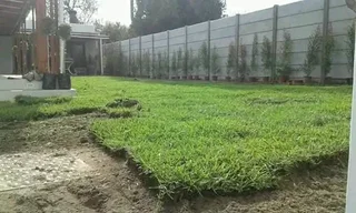Delivery and installa call type of national grass