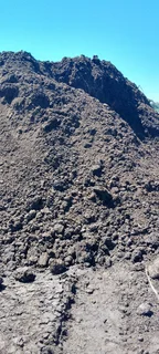 Roll on lawn  Lm Berea grass