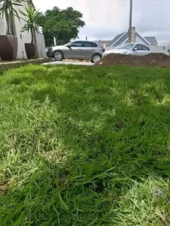 Roll on lawn Kikuyu grass