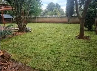 Supply and installa buffalo grass and Cynadone grass