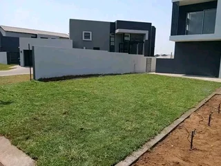 Supply and installa buffalo grass and Cynadone grass