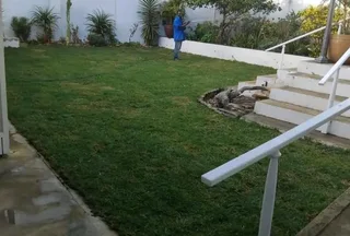 Roll on lawn Cynadone grass and buffalo grass