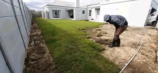 Roll on lawn Kikuyu grass