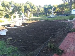 Roll on lawn Kikuyu grass