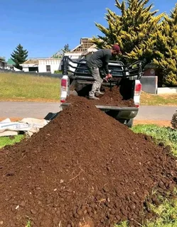 Supply and installa buffalo grass and topsoil weed free