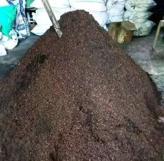 Supply and installa buffalo grass and topsoil weed free