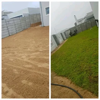 Delivery and installa Lm Berea grass and Kikuyu grass