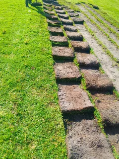 We do delivery and installa call type of grass