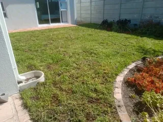 We do delivery and installa call type of grass