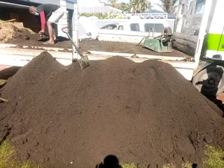 Roll on lawn Kikuyu grass and Cynadone grass