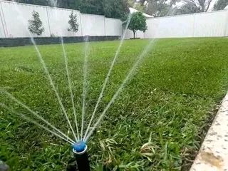 We do supply and installa Lm Berea grass and Cynadone grass