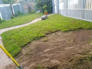 We do supply and installa Lm Berea grass and Cynadone grass