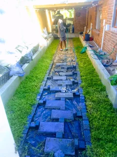 We do supply and installa Lm Berea grass and Cynadone grass