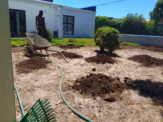 We do supply and installa Lm Berea grass