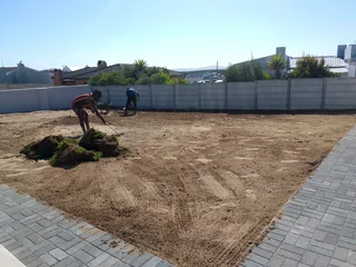 Fresh and green grass