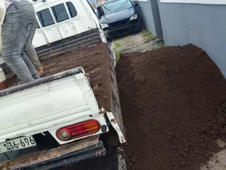 Roll on lawn Lm Berea grass