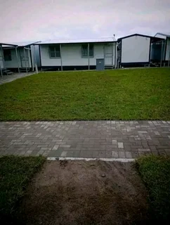 Roll on lawn buffalo grass and Kikuyu grass weed free